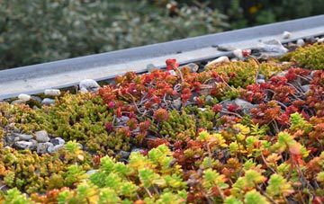 the cost of Kepdowrie green roof installation